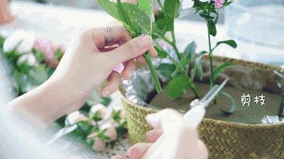 美妆大牌昌吉限量发售：688元/套|手慢无！兰芝|欧莱雅|雅漾|自然堂