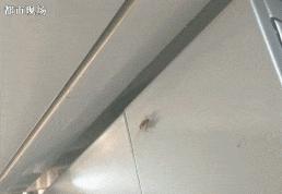 洗菜池里洗拖把拖地,洗菜洗碗池洗拖把