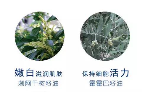 意大利女生撩人秘诀！每天1滴斩男香，能提升你70%销魂度