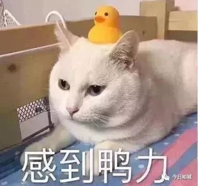 怎样加快绿色转型,如何加快绿色转型升级