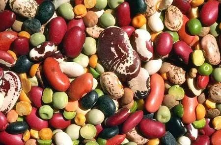 春天养肝有什么泡茶喝最好,养肝养颜吃什么食物最好