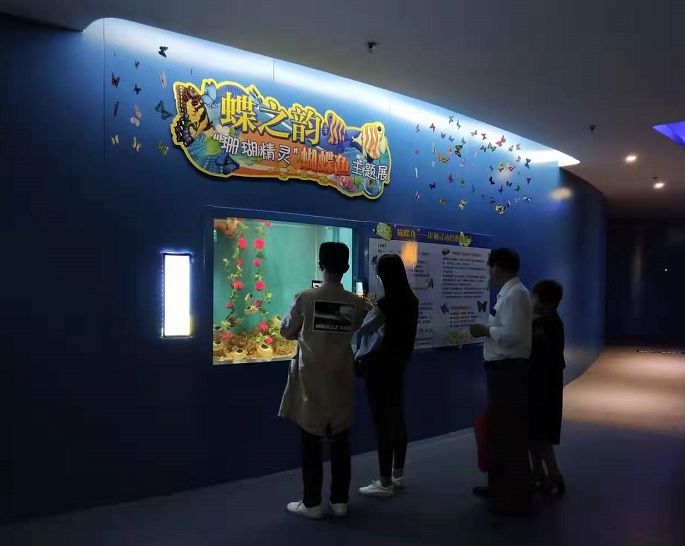 山东聊城海底世界和古城一日游,聊城海底世界项目