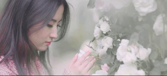 刘亦菲肖战吴磊刘昊然,刘亦菲吴磊刘昊然