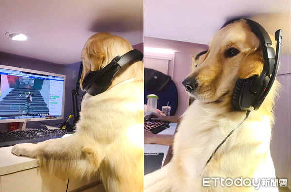 俏丽金妞客串实况主5分钟　粉丝赏星4200颗