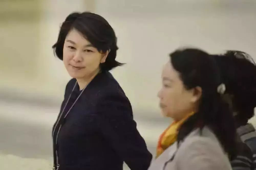 女外交官华春莹怒怼美国,华春莹外交霸气回应