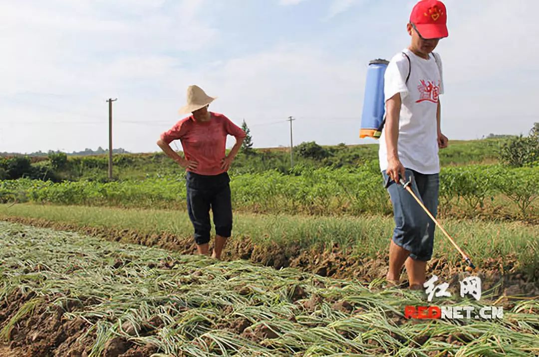 江西三支一扶期满是什么编制,江西三支一扶期满转编的工作好吗