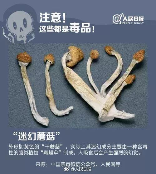 民警提醒群众小心新型毒品,警方提示出门旅游注意个人物品