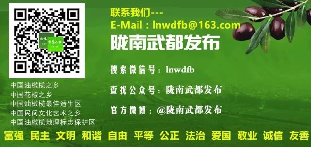 武都旅游景点大全,武都旅游线路