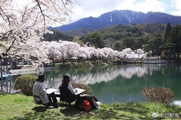 2019年日本大赏排行榜,2018全日本赏樱花旅游攻略