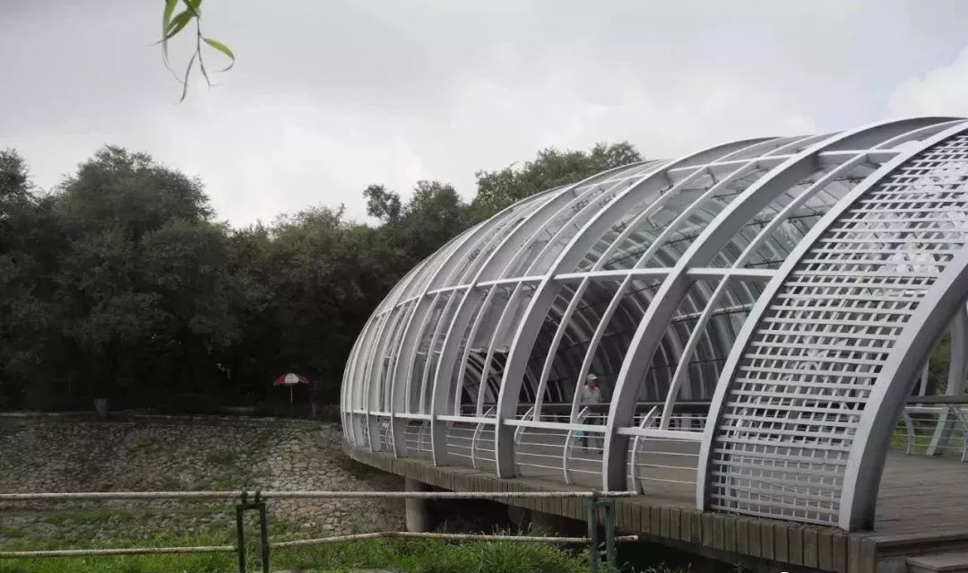 哈尔滨哪里有五人制足球场,哈尔滨足球场