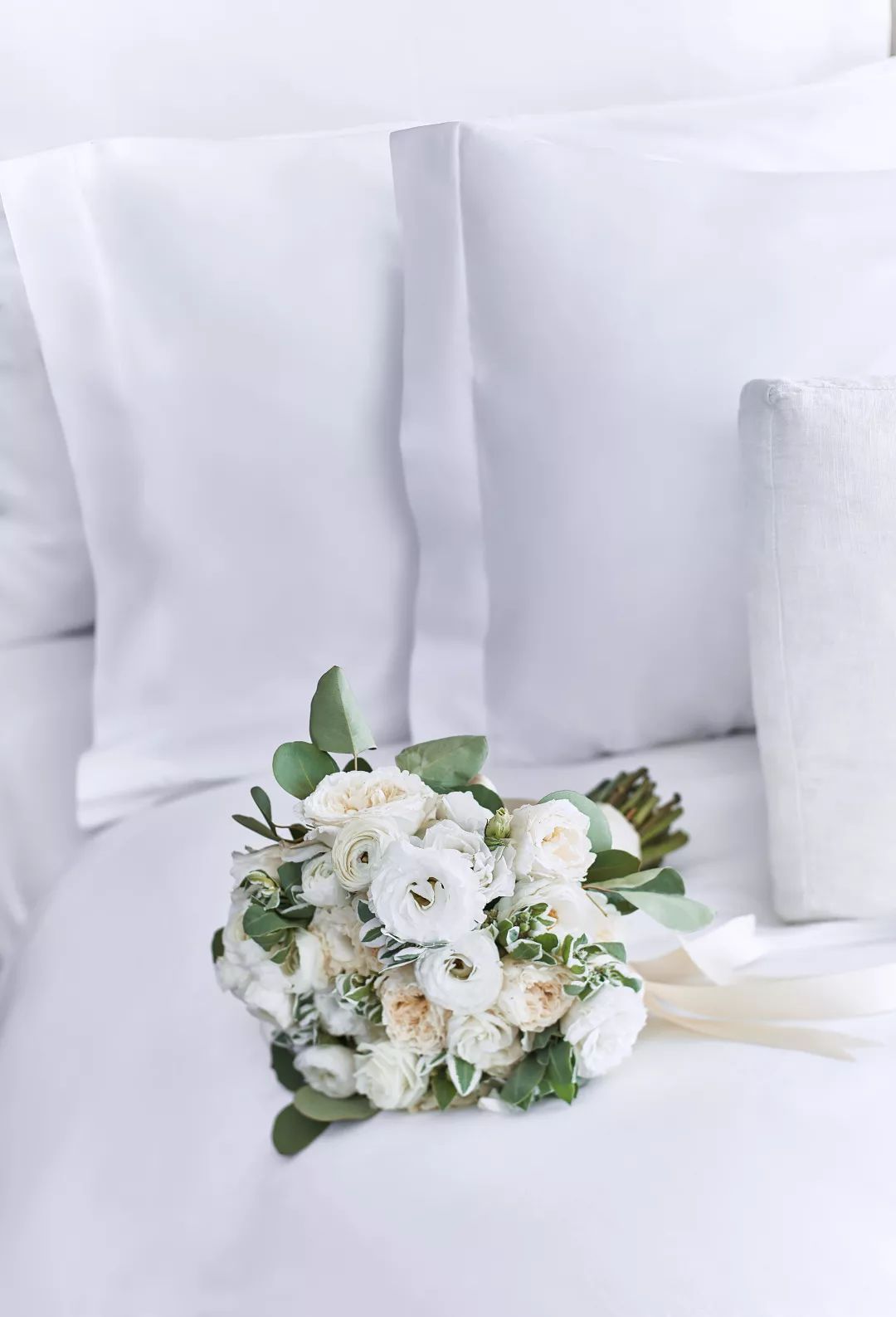 妻子的浪漫旅行之约,妻子的浪漫旅行之月光派对