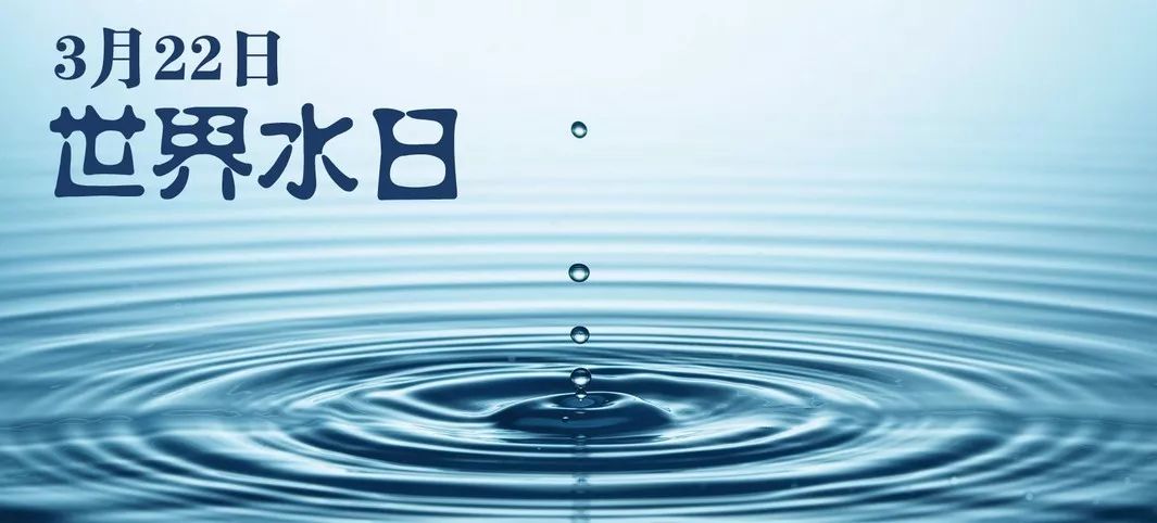 世界水日：你了解多少水知识呢？