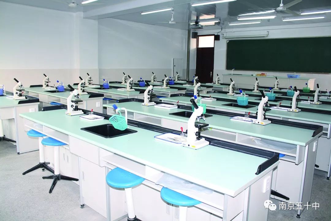 在市中心的学校,花园式学校值得孩子们拥有