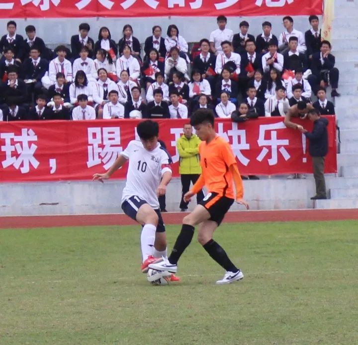 苏州市区长杯青少年校园足球联赛,青岛34届市长杯足球赛小学组