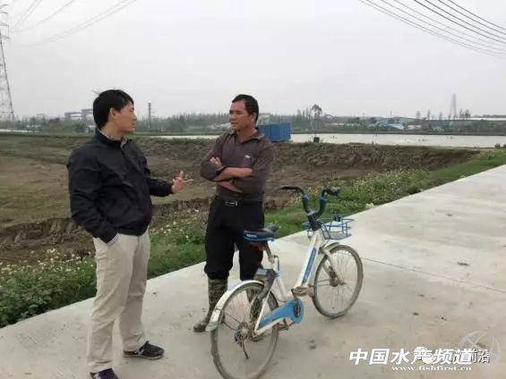 通威最新发布消息,通威降价对下游有什么影响