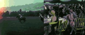 omg买它买它什么梗,omg买它原版