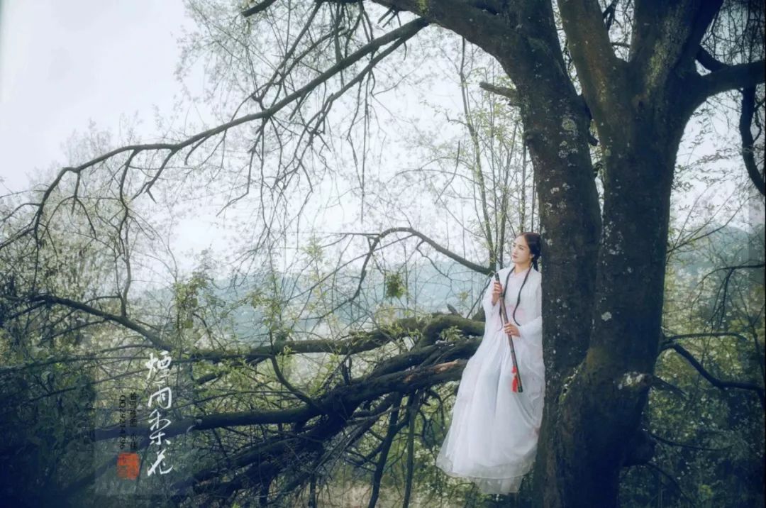 螺蛳粉征服世界,螺蛳粉征服全世界