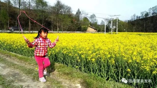 康县自驾游最新消息,康县旅游攻略自由行