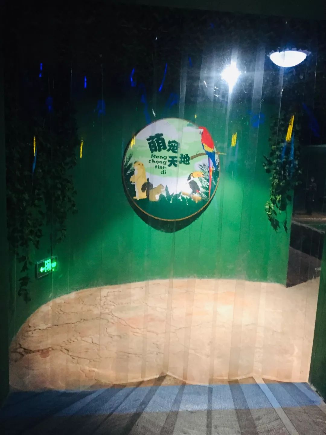 聊城海底世界游玩攻略,从聊城出发亲子游