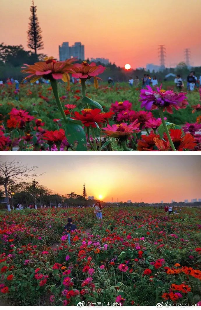 广州适合春游的免费景点,春游广州最适合去的地方
