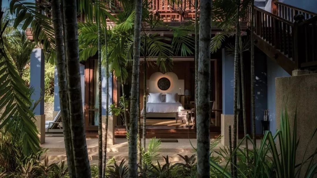 广州电影摘金奇缘,摘金奇缘杨紫琼酒店