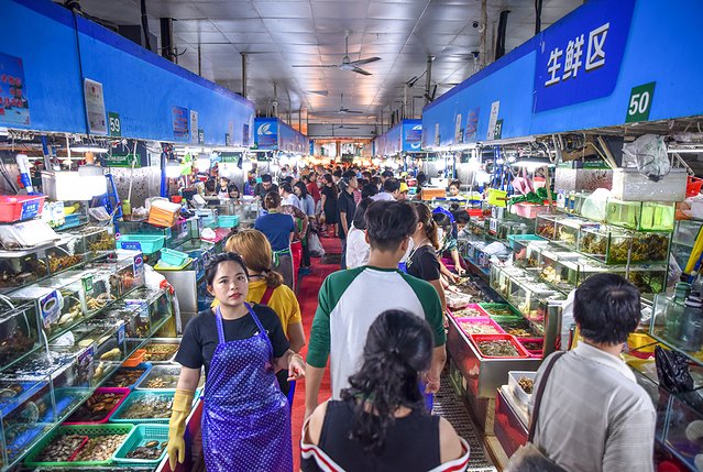 三亚博后村网红打卡地,三亚情侣打卡地推荐