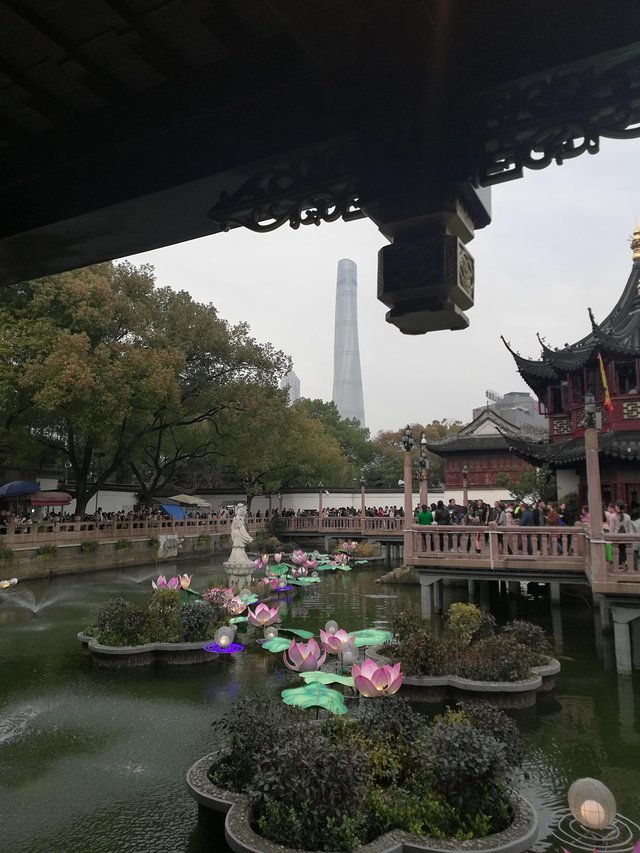 缓慢游玩迪士尼,慢慢悠悠的游玩