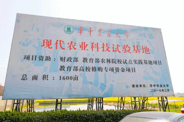 华中农业大学校园到底有多美,华中农业大学园艺林学院