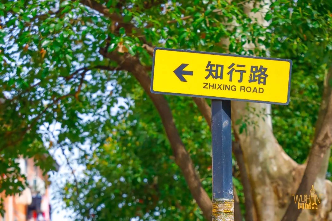 华中农业大学校园到底有多美,华中农业大学园艺林学院