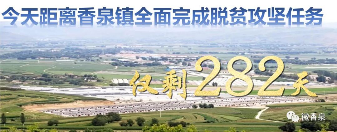 【媒体看香泉】高科技产业精准扶贫靠什么——扶贫点上看变化之安定区篇