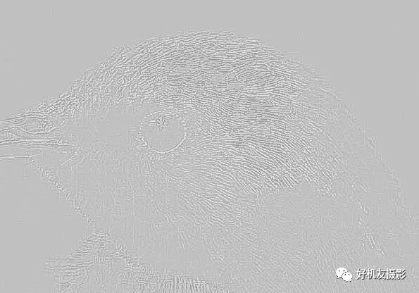 拍出的效果没有实物效果,拍出质感照片