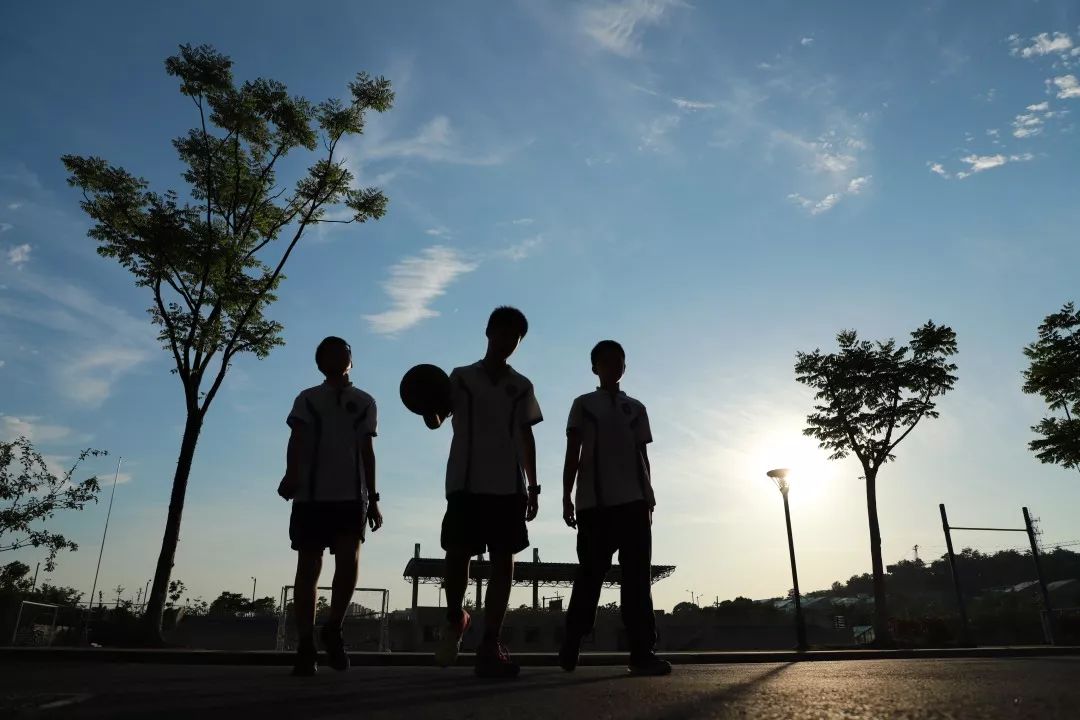 海量美图100张,海量高清美图