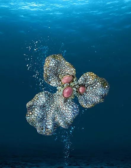 海螺珍珠饰品,海螺珠珠宝品牌