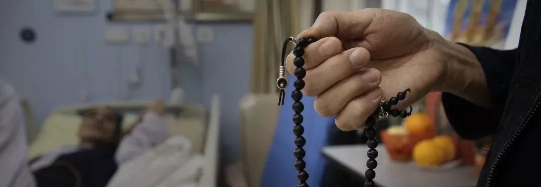 养40只流浪猫建新家,家里有18只流浪猫