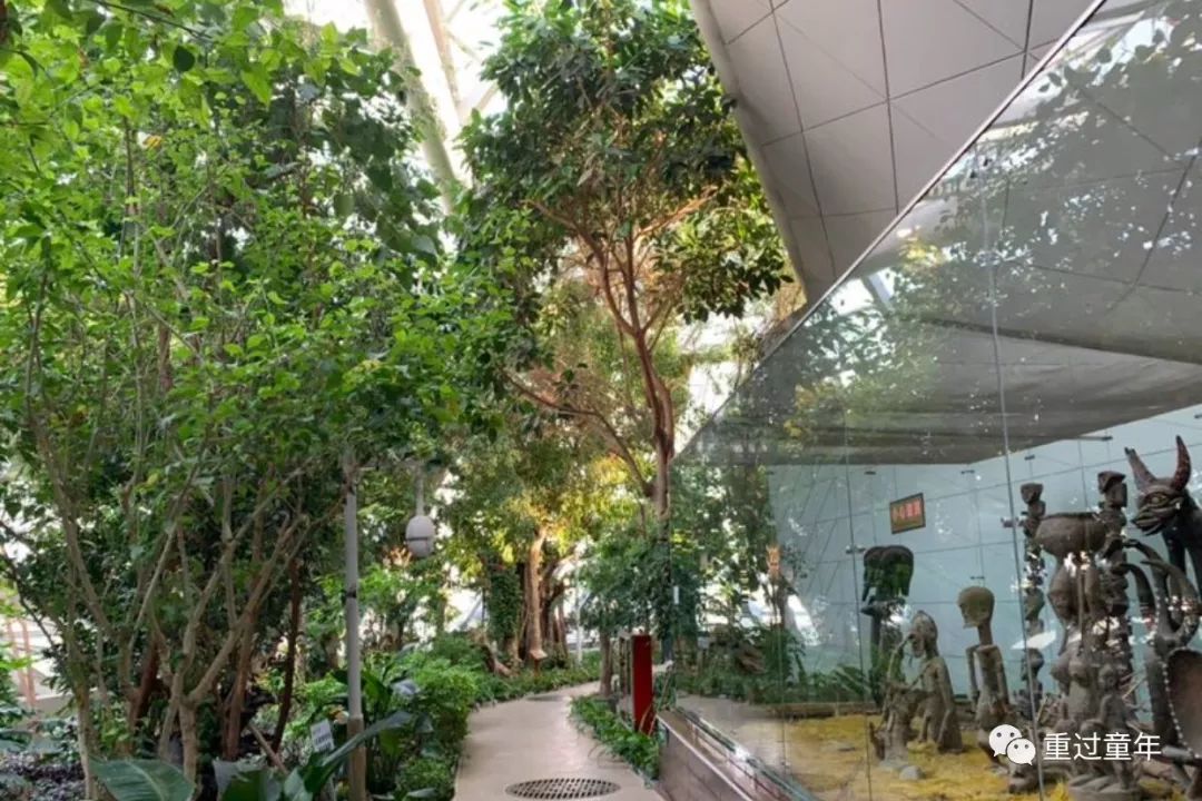 西安一个很有特色的公园,西安唯一要门票的公园