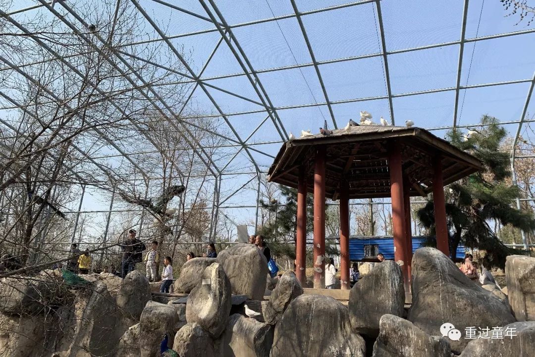 西安一个很有特色的公园,西安唯一要门票的公园