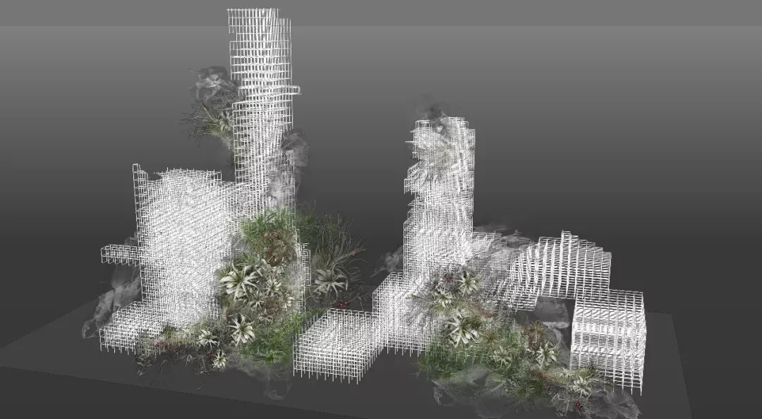 麻宁推荐|中国最时尚的未来花世界，拍照太出片了！