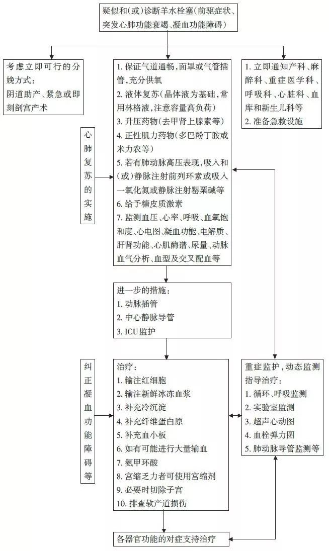 羊水栓塞是产科第一大死神吗,产科医生羊水栓塞哪集