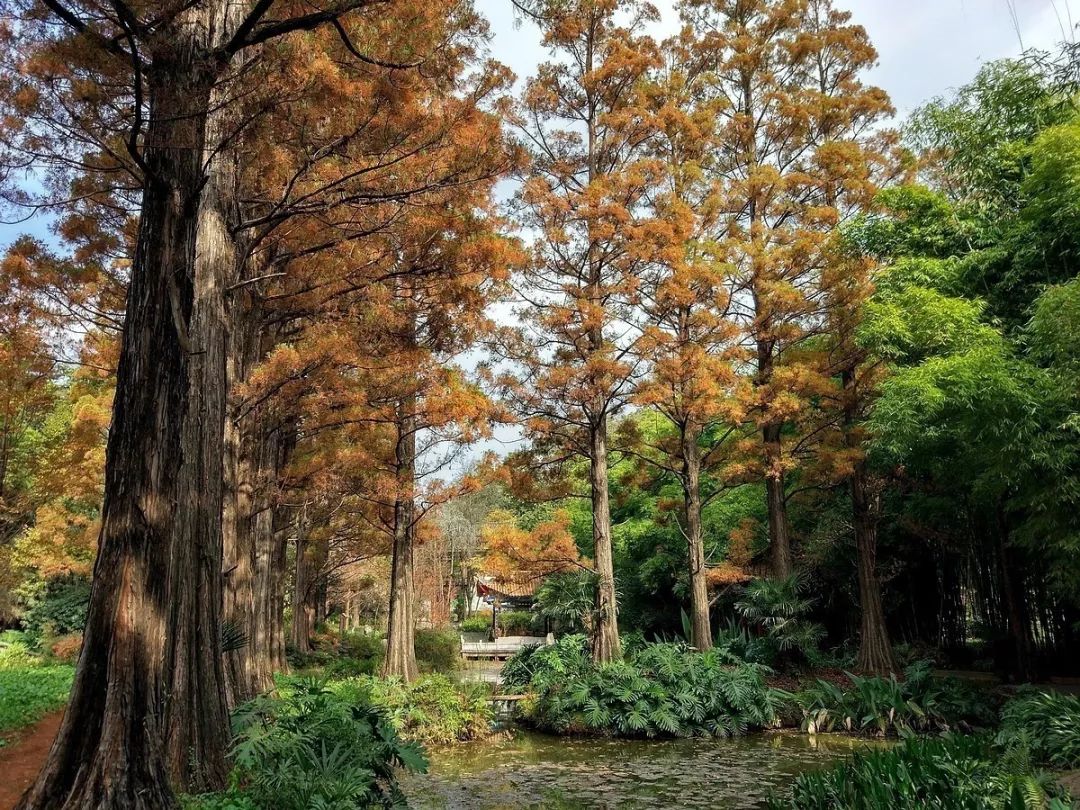 全面开挂！盘龙区大发展！未来不可估量！