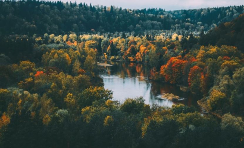 申根签需要的经济证明,最容易办理的申根签