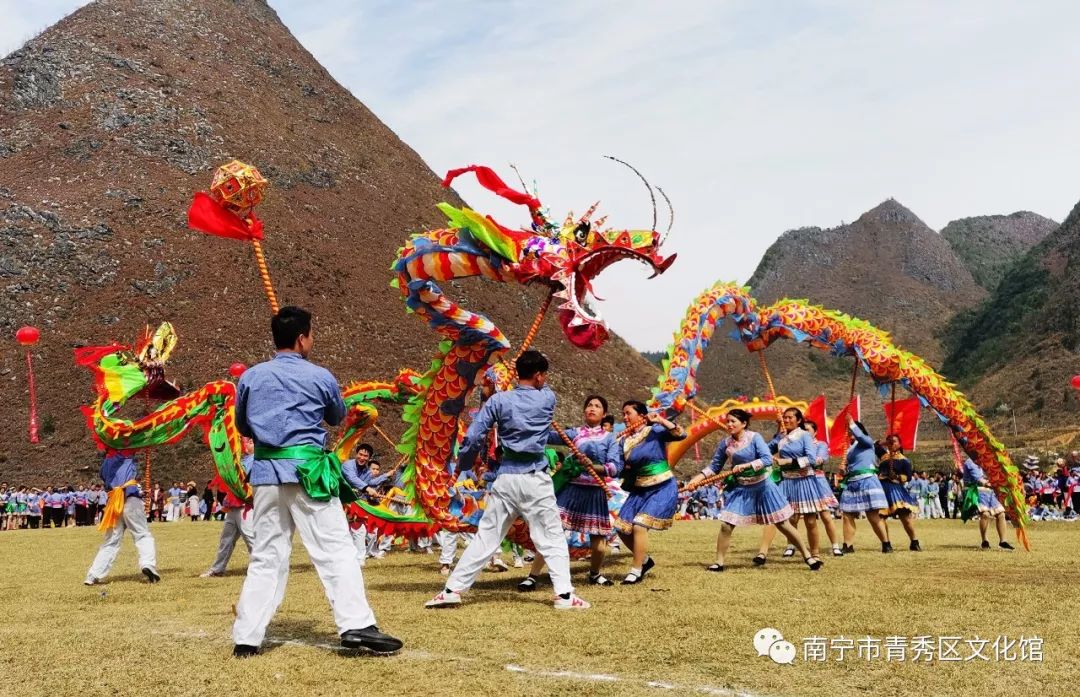 群龙聚首贺新春,青秀区国际传统舞龙邀请赛