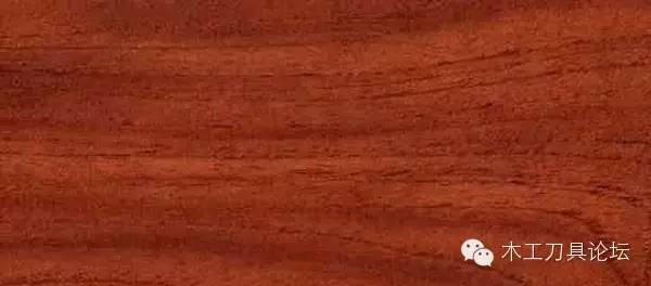 识别木材优劣家居人必备基本功,木材识别基础知识