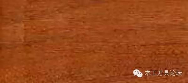 识别木材优劣家居人必备基本功,木材识别基础知识