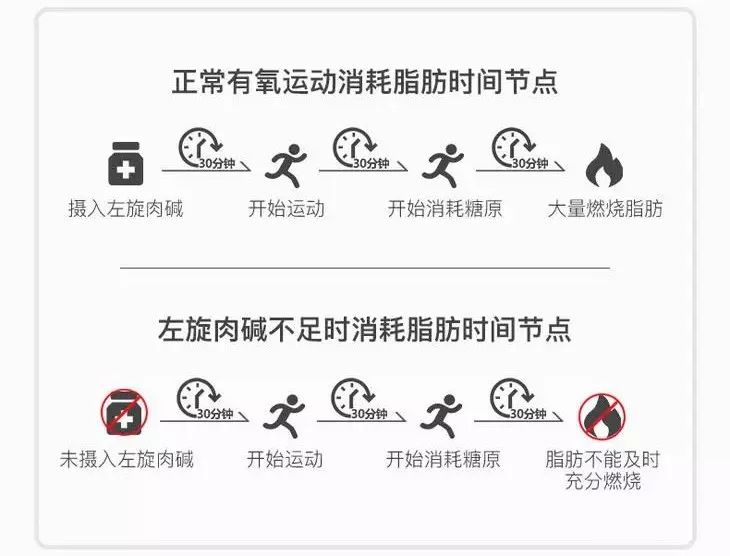 左旋健身减肥燃脂,健身快速燃脂科技