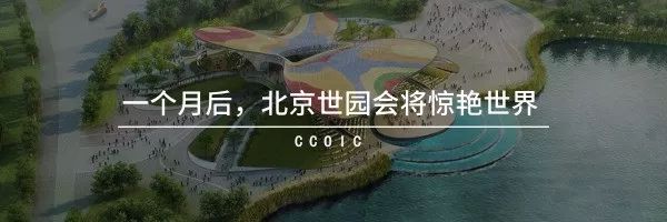 whatsapp添加美国客户,客户怎么在whatsapp下单