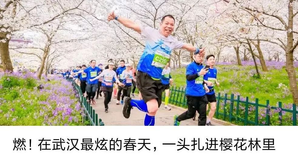 人间最美四月天赏花攻略,人间最美四月天旅游