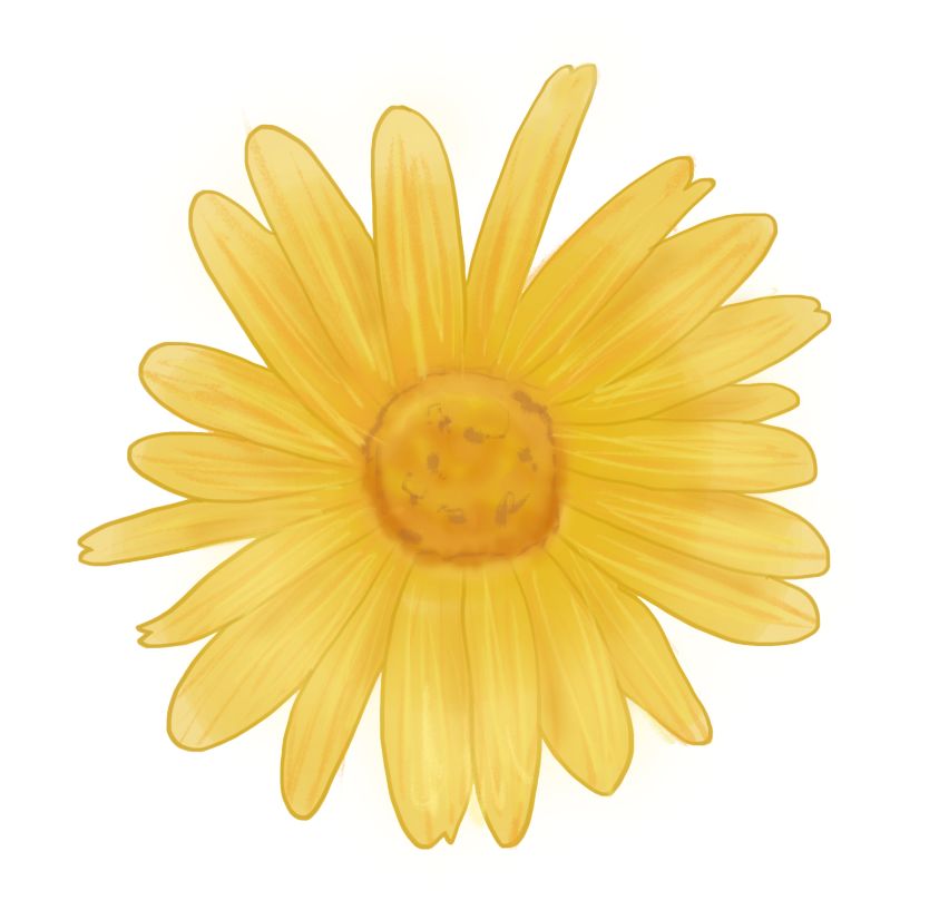 孕妈出现三种症状怎么处理,孕妈孕期3件事