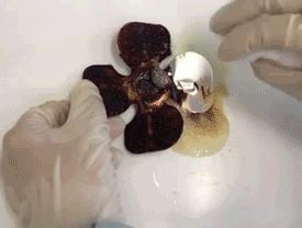 去污“高科技”!焦黑锅底、油垢、霉菌,喷一喷全消失