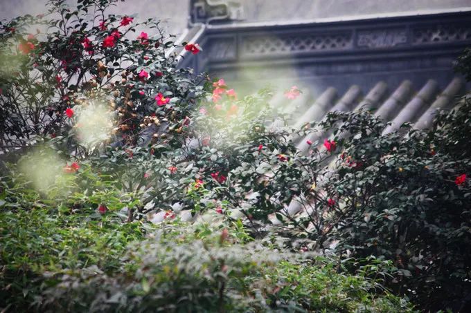 剁手｜10块钱在上海能干些什么？这些可能大家都想不到！