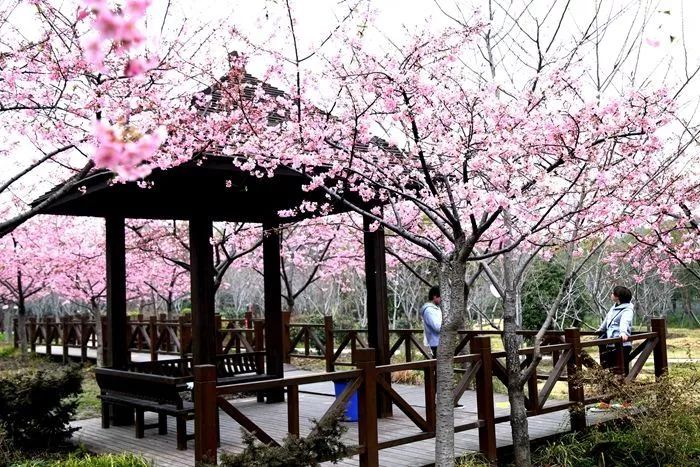 剁手｜10块钱在上海能干些什么？这些可能大家都想不到！